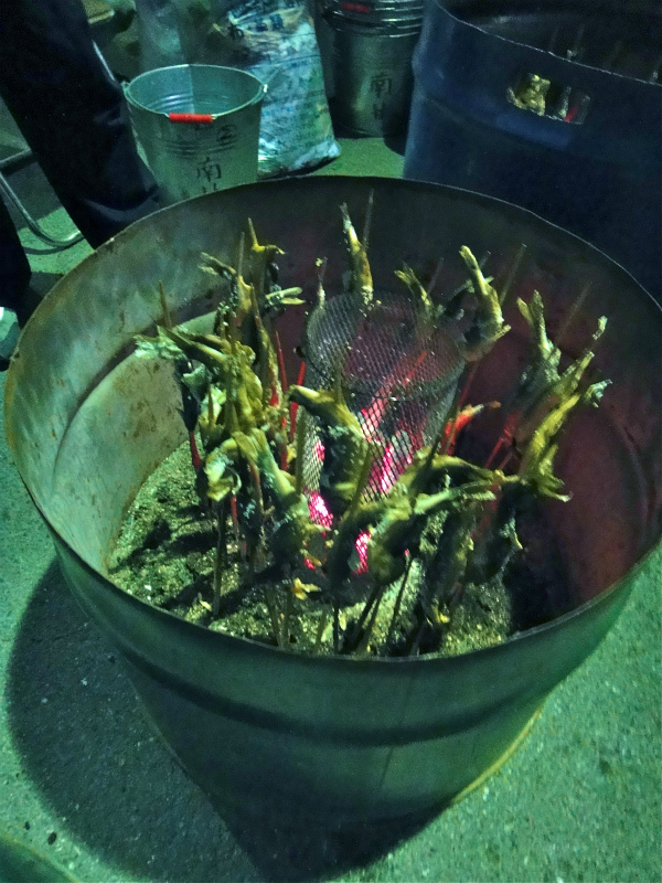 神流マウンテンラン&ウォーク大会 2011/11/05-06 _b0220886_10424135.jpg