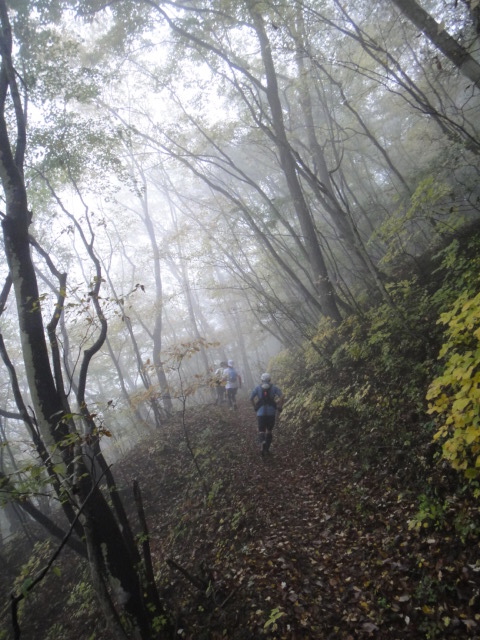 神流マウンテンラン&ウォーク大会 2011/11/05-06 _b0220886_17503369.jpg