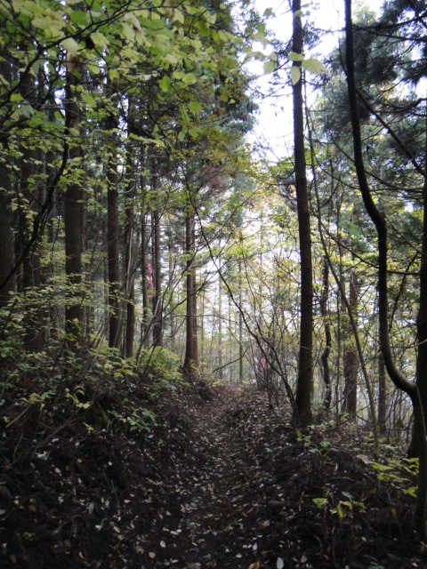 神流マウンテンラン&ウォーク大会 2011/11/05-06 _b0220886_17571746.jpg