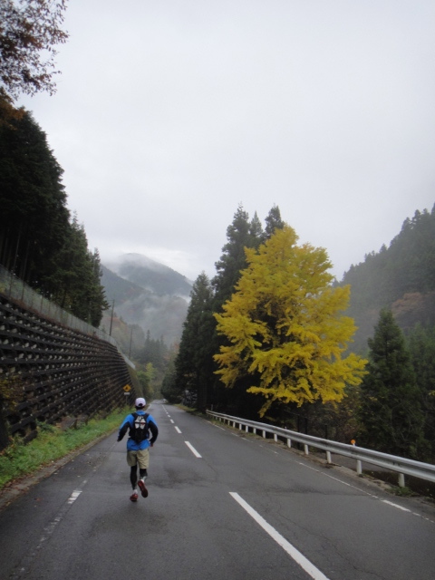 神流マウンテンラン&ウォーク大会 2011/11/05-06 _b0220886_17592820.jpg