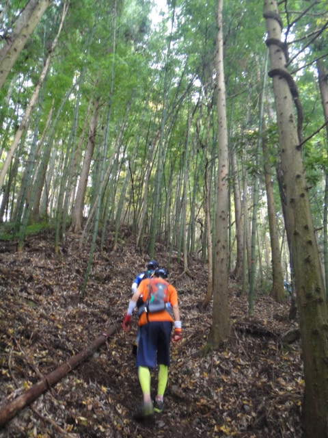 神流マウンテンラン&ウォーク大会 2011/11/05-06 _b0220886_18503235.jpg