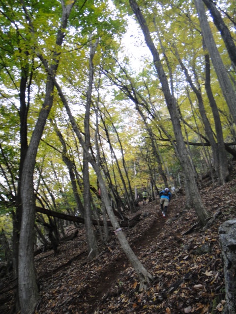 神流マウンテンラン&ウォーク大会 2011/11/05-06 _b0220886_18504917.jpg