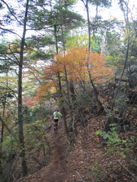 神流マウンテンラン&ウォーク大会 2011/11/05-06 _b0220886_18512114.jpg