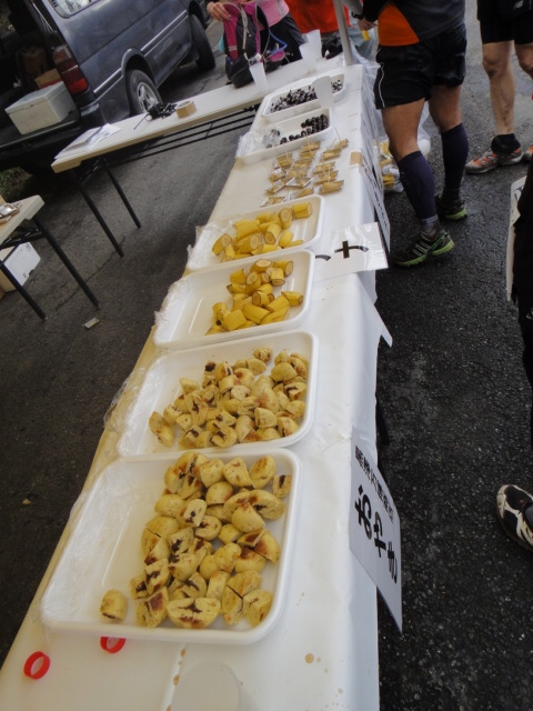 神流マウンテンラン&ウォーク大会 2011/11/05-06 _b0220886_18535419.jpg