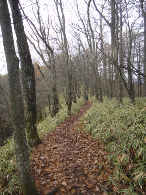 神流マウンテンラン&ウォーク大会 2011/11/05-06 _b0220886_2027405.jpg
