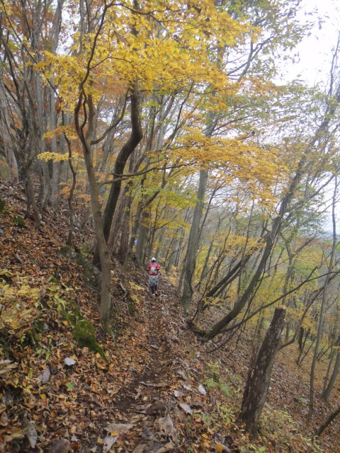 神流マウンテンラン&ウォーク大会 2011/11/05-06 _b0220886_20434558.jpg