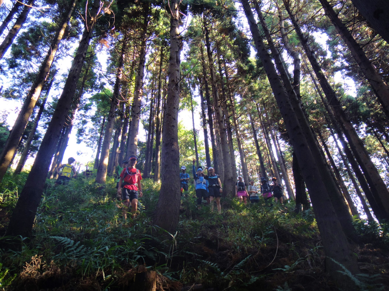 2011/11/12 Trail Session & Newハレテーピング講習会アドバンス_b0220886_23552481.jpg