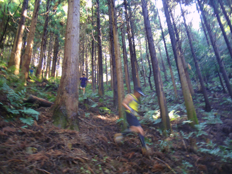 2011/11/12 Trail Session & Newハレテーピング講習会アドバンス_b0220886_2355467.jpg