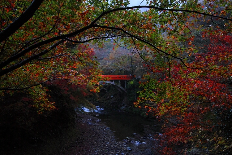 西明寺_e0051888_2236289.jpg
