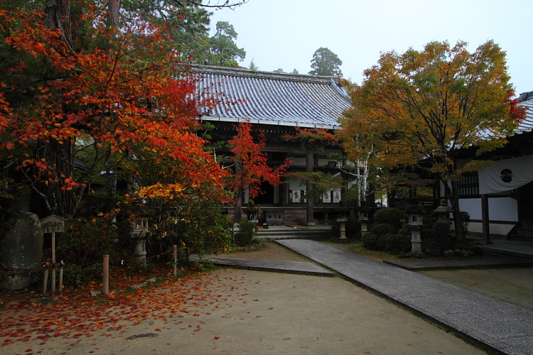 西明寺_e0051888_22372393.jpg