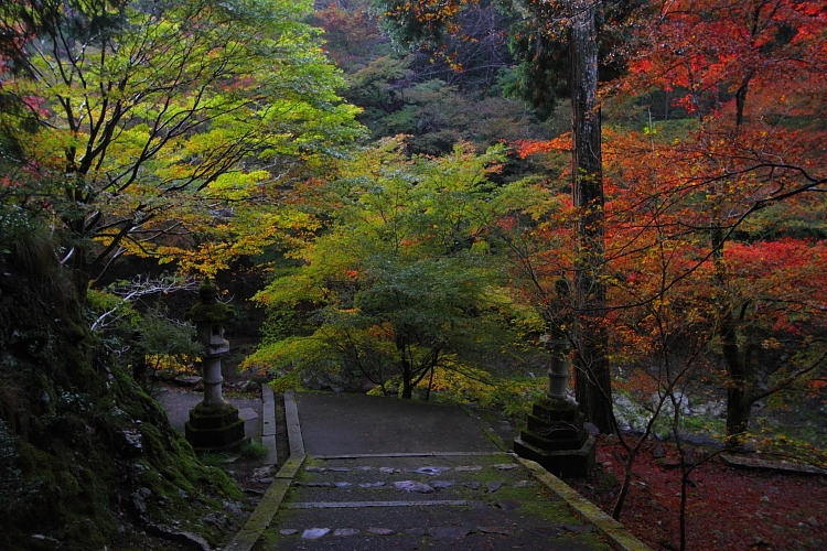 西明寺_e0051888_22402126.jpg