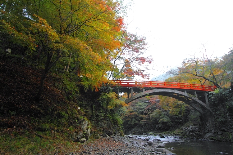 西明寺_e0051888_2241281.jpg