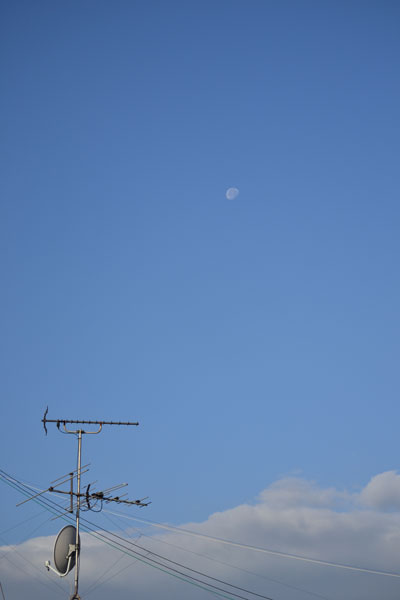 e0246788_111137.jpg