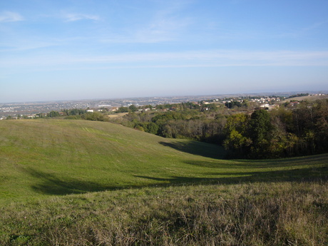 a0216392_19141458.jpg