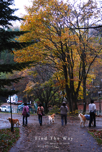 【wanこ】高山オフ 2011 vol.11 〜 散策_f0054594_1758356.jpg
