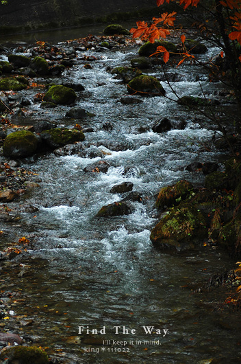 【wanこ】高山オフ 2011 vol.11 〜 散策_f0054594_1759863.jpg