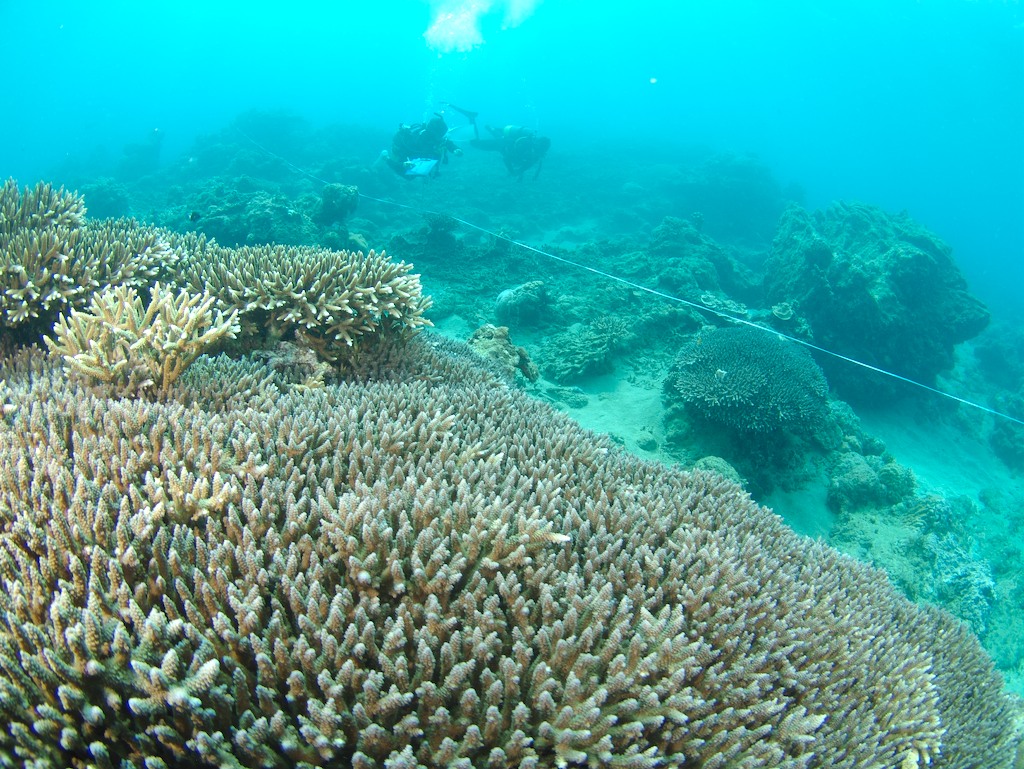 a0010095_2202561.jpg