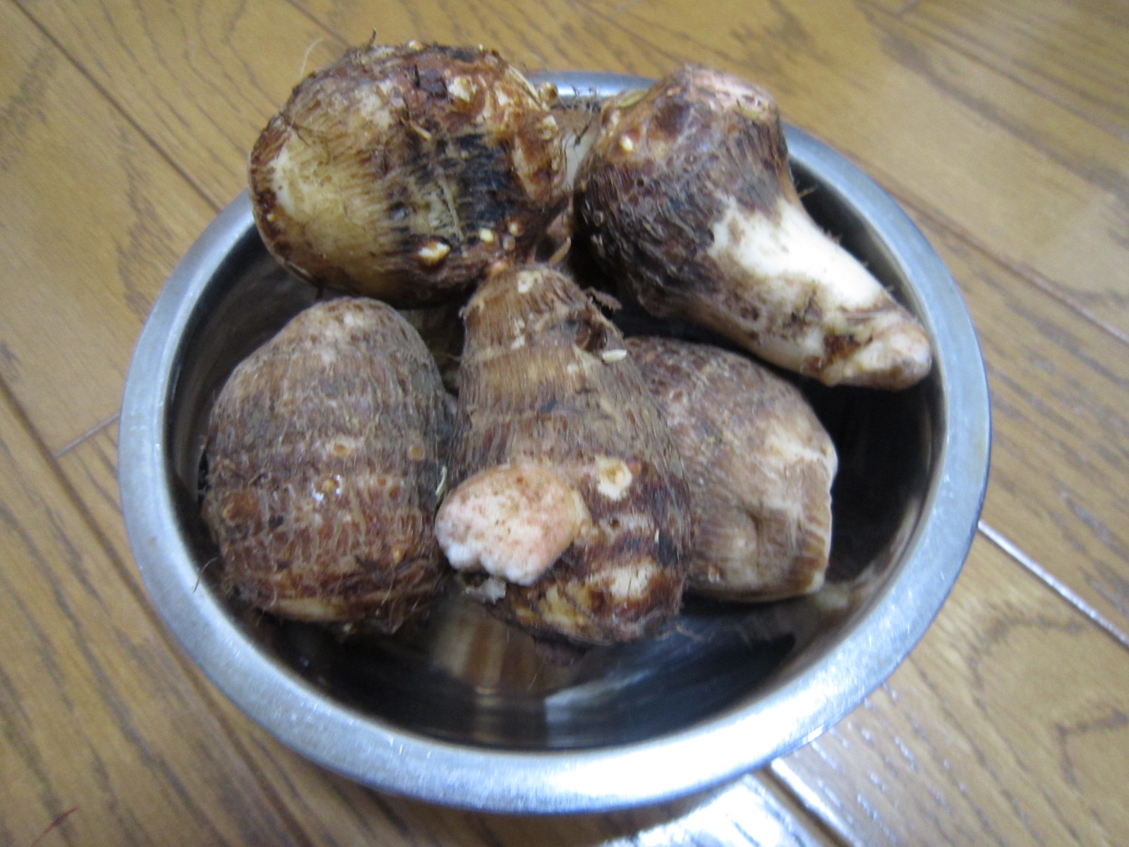 白菜_f0204295_16404182.jpg