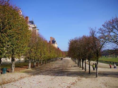 c0090198_546936.jpg