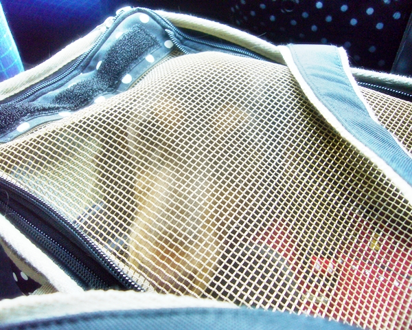 c0228404_13454877.jpg