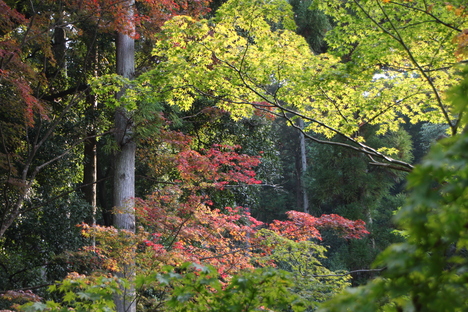 e0048413_22402432.jpg