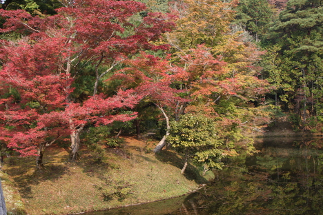 e0048413_22412637.jpg