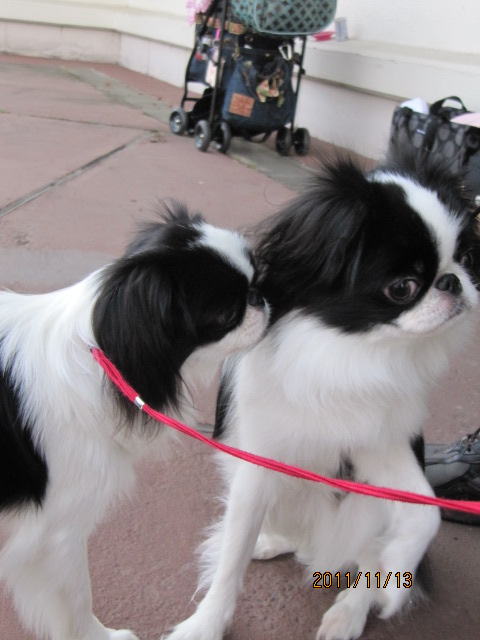c0200916_3437.jpg