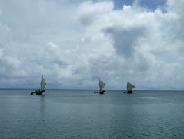 a0043520_1001137.jpg