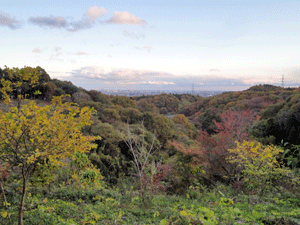 f0232920_1812415.gif