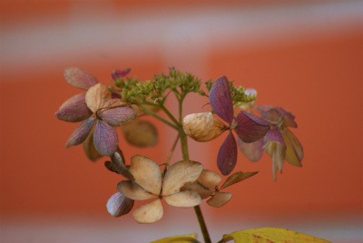 f0170524_14253791.jpg