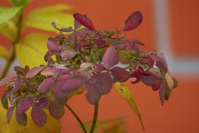 f0170524_1446013.jpg