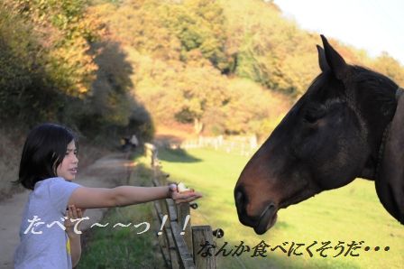 作り置きおかず☆もやしのピリ辛桜エビオイル和え_d0104926_3194236.jpg