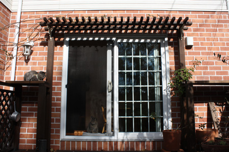 d0142929_1743843.jpg