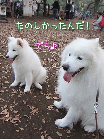 おっきな公園Wホワイト_c0062832_5515799.jpg