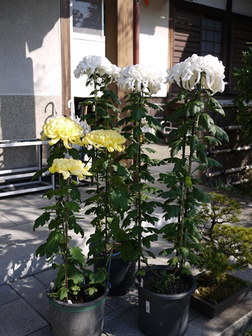 f0232136_1672966.jpg