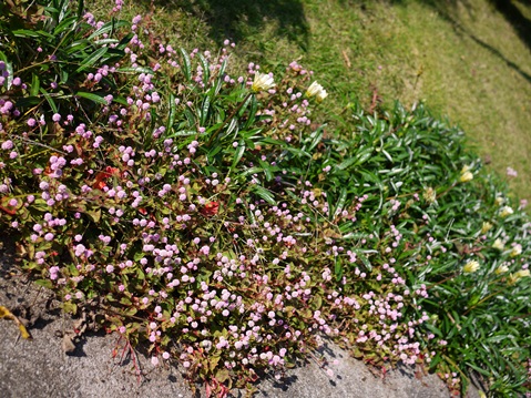 f0232136_1673751.jpg