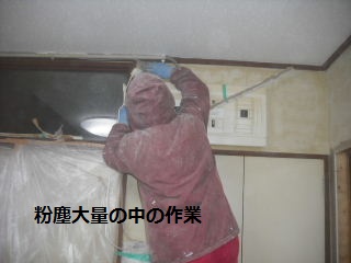 7日目の作業_f0031037_207944.jpg