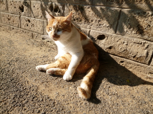 d0170140_0235727.jpg