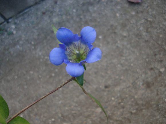 e0110940_2252452.jpg