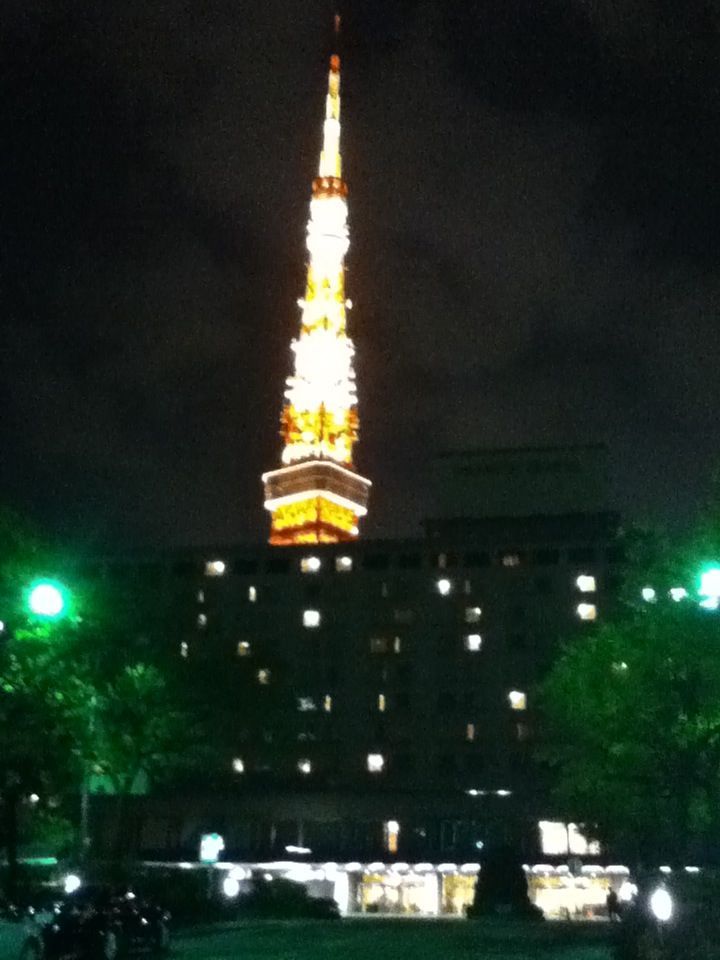 これから帰ります！_d0153941_18403644.jpg