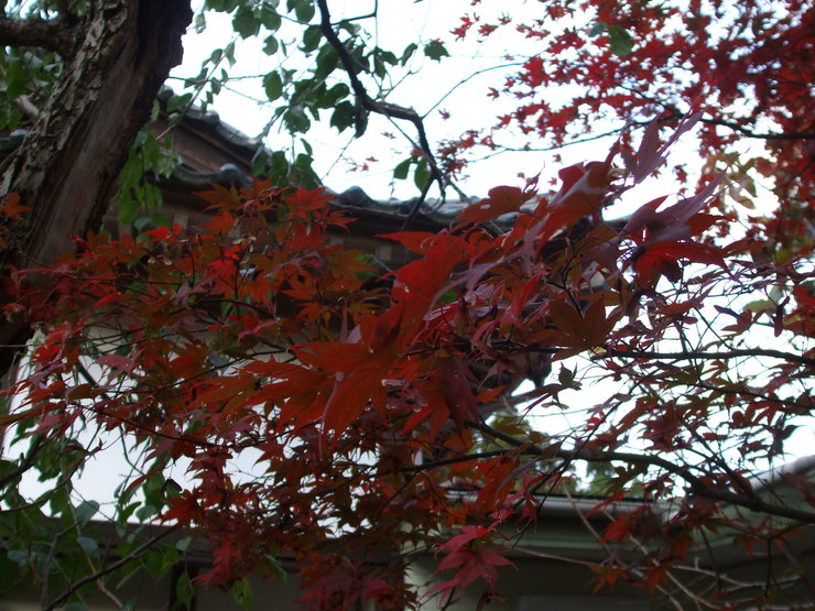 c0202242_8444135.jpg