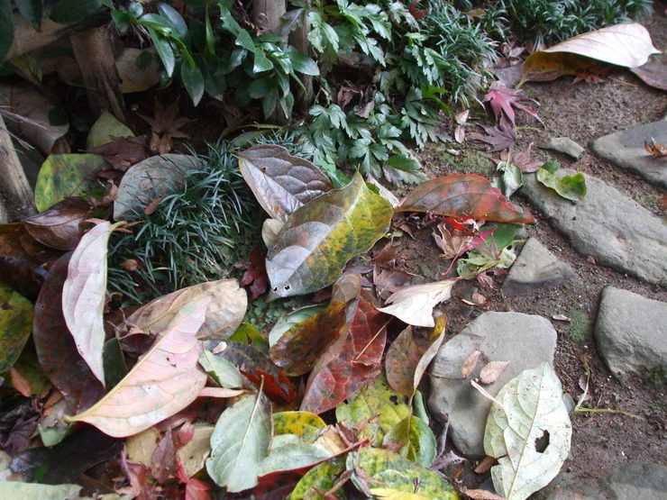 c0202242_84569.jpg