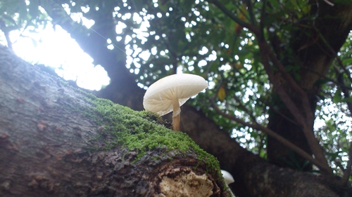 f0229844_132846.jpg