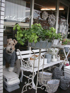 c0176651_12583445.gif