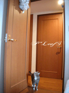 c0176651_12593858.gif