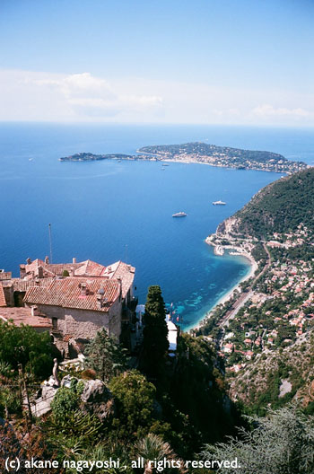 c0058654_11182364.jpg