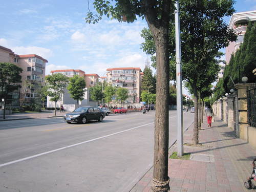 f0205855_9335733.jpg