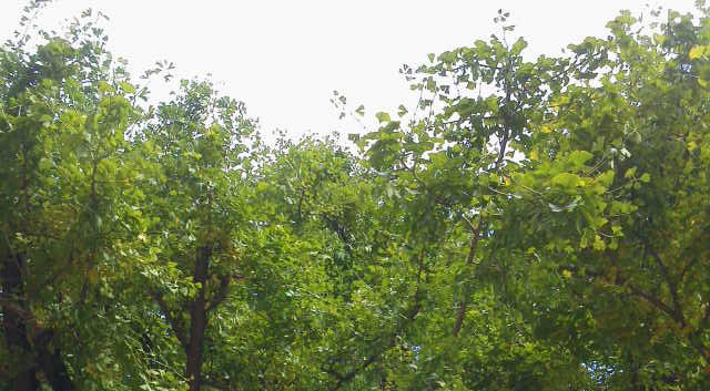 c0214359_23585323.jpg