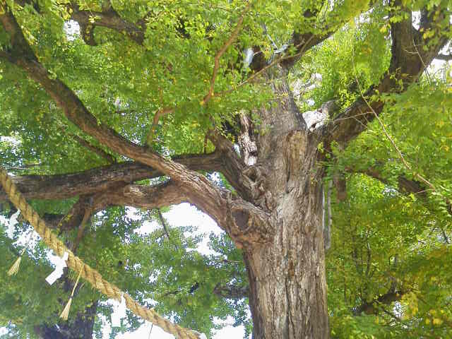 c0214359_2359142.jpg