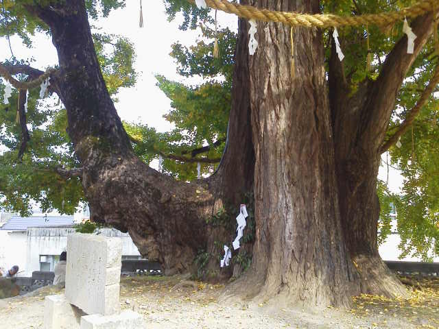 c0214359_23595362.jpg